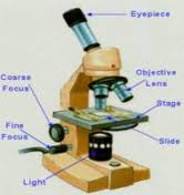 Laboratory Microscope Manufacturer Supplier Wholesale Exporter Importer Buyer Trader Retailer in Freegunj Madhya Pradesh India